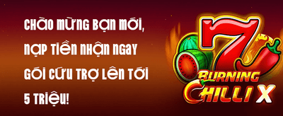 Thưởng Chào Mừng Tân Thủ 100% promotion